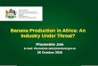 Banana Production in Africa: An Industry Under Threat? › images › Documents › AGRICULTURE › … · •Africa- banana a staple food for 20 million people (food security) •Loss