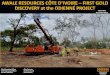 AWALE RESOURCES CÔTE D’IVOIRE – FIRST GOLD …...AWALE RESOURCES CÔTE D’IVOIRE – FIRST GOLD DISCOVERY at the ODIENNÉ PROJECT TSXV-ARIC. November 2019. Chief Executive Officer