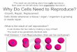 cells reproduce organisms reproduce Why Do Cells Need to ... · PDF file organisms to grow, replace dead cells, and reproduce. A cell’s life can be described with the cell cycle