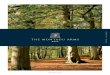 Montagu Arms Brochure 2016 - Amazon Web Services › 2018 › 02 › 16 › 16 › 37...2018/02/16  · Explore the 200 acre earthly paradise of Exbury Gardens, world-famous for the