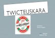 RAeidos64.fr/wp-content/uploads/2019/07/Twicteuskara-aurkezpena-.pdf · NOLA SORTUDA ? •Twictée elkarreraginafrantsetsarenerakaskuntzarako •Twictée sari bat 2016. urtean«prix