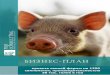 проекта свиной фермы на 1250 свиноматок ... · 2018-06-02 · МАРКЕТИНГОВЫЙ ПЛАН.....38 7. ИНВЕСТИЦИОННЫЙ ПЛАН 