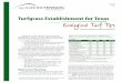 Turfgrass Establishment for Texas - Texas A&M AgriLife ... · Turfgrass Establishment for Texas Ecological Turf Tips Table 1. An overview of turfgrass establishment ... requires more