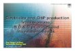 Electricity and CHP production from biomass€¦ · Biomass potential is very uncertain zBiomass sourced from crop and forest residues and organic wastes has a technicalpotential
