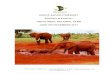 Pat Elephant & Explorer Tsavo West N Park · At just over 21,000 km sq. Tsavo is the largest National Park in Kenya and because of its size the park was split into two, Tsavo West