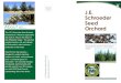 Seed Orchard Brochure - Oregon · Growing tree seed for reforestation needs. The J.E. Schroeder Seed Orchard is located on a 400 -acre agriculture site near St. Paul, in the heart