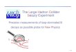 The Large Hadron Collider beauty Experimentmenzemer/LHC... · The Large Hadron Collider beauty Experiment Precision measurements of loop-dominated B decays as possible probe for New