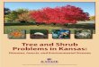 Tree and Shrub Problems in Kansas - Kansas State University › lawn-garden › docs › Tree and... · guide. There are other sources for pesticide information, including the Plant