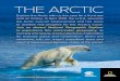 THE ARCTIC - Lindblad Expeditions › globalassets › pdf › brochures › ...Geographic’s Pristine Seas team, conducts expeditions to perform the first comprehensive scientific
