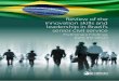 Review of the innovation skills and leadership in Brazil’s senior … › wp-content › uploads › 2018 › 11 › Brazil... · 2018-11-26 · Review of the innovation skills