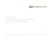 Online Marketing at Services - Surgeworks › wp-content › uploads › 2009 › 05 › Online-Marketin… · Online Marketing Services at Surgeworks Surgeworks 2040 E Murray-Holladay