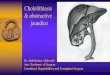 Cholelithiasis & obstructive Semester... · PDF file Cholelithiasis & obstructive jaundice Dr. Abdulsalam Alsharabi Asst. Professor of Surgery Consultant Hepatobiliary and Transplant