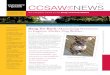 ISSUE 22 CCSAW NEWS - uoguelph.ca€¦ · CCSAW NEWS ISSUE 22 Bang for Buck: Maximizing Resources Bang for Buck to Improve Shelter Dog Welfare By Kimberly Sheppard ... funding is