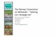 The Ramsar Convention on Wetlands “Getting our message out”wli.wwt.org.uk/.../07/LewYoung_KeynoteSpeech_Ramsar...Ramsar Convention: ‘3 Implementation Pillars’ Using wetlands