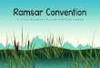 Ramsar Convention - Weeblymagna8.weebly.com/.../6_-_ramsar_convention.pdf · The Ramsar Convention The Ramsar Convention is an international agreement to protect wetlands around the