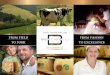from field from passion to excellence€¦ · A special selection of Parmigiano Reggiano PDO: Brown Cows, made only with Brown cow milk. These cows produce a lower amount of milk,