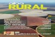 ruralr uraL - aiba.org.braiba.org.br/wp-content/uploads/2015/03/Aiba-Rural-ed-01-ERNANI1.pdf · algodão, com a diferença que a soja tem um ciclo menor e não tem o BICUDO como praga