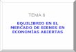 TEMA 6 - USALcampus.usal.es/~ehe/perote/documentos/Macro II Tema 6.pdf · TEMA 6 EQUILIBRIO EN EL MERCADO DE BIENES EN ECONOMÍAS ABIERTAS . 2 Equilibrio en el mercado de bienes en