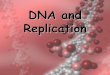DNA and Replication - Shaltry's Biology · PDF file 2018-10-12 · DNA replication1, DNA replication 2. 37 DNA Replication . 38 DNA Replication . 39 DNA Replication . 40 DNA Replication