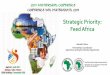 Strategic Priority: Feed Africa - African Development Bank · 2017-04-07 · Develop agro-dealer supply systems Support wide-scale deployment of innovative farmer extension models