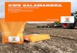 KWS SALAMANDRA KWS SALAMANDRA Comportement grain n KWS SALAMANDRA présente une très bonne productivité grain, supérieure aux principales références de marché. Synthèse grain