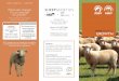 What else changes for growth? - Sheep GeneticsSHEEPGENETICS GROWTH PO Box U254 University of New England Armidale NSW 2351 Phone: + 61 2 6773 2948 Fax: + 61 2 6773 2707 info@sheepgenetics.org.au
