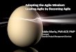 The Fragile Art of the Project Start - Agile Leadership Network …alnhouston.org/wp-content/uploads/2017/08/Eddie-Merla... · 2017-08-21 · The Fragile Art of the Project Start