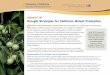 Drought Tip: Drought Strategies for California Walnut ... · This Drought Tip discusses tree and walnut development stages and corresponding water use, along with the impacts that