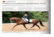 highburydressage.comhighburydressage.com/articles/Chronicle.pdf* Many dressage horses for sale from Medium level to P.S.G./Inter I * Fully 5-stage vetted and x-rayed * Horses shipped