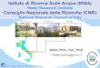 Water Research Institute Consiglio Nazionale delle ...€¦ · Main figures (2013) 65 scientists 25 technicians 10 administratives 70 contracts, fellowships, PhDs, etc. Turnover: