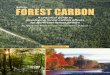A practical guide to developing forest carbon offsets for ... · Overview 5 What is Carbon Sequestration? Carbon sequestration is a natu-rally occurring process wherein carbon is