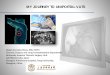 MY JOURNEY TO UNIPORTAL VATS - Duke University€¦ · MY JOURNEY TO UNIPORTAL VATS Diego Gonzalez-Rivas, MD, FECTS Thoracic Surgery and Lung Transplantation Department Minimally