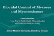 Biocidal Control of Mycoses and Mycotoxicoses · Biocidal Control of Mycoses and Mycotoxicoses ... Mycoses Intoxications – Mycotoxicoses . Prevalency of fungal nosocomial infections