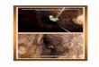 Urbasa 11 abyss Fauna - ARANZADI Zientzia Elkartea · 2018-08-06 · NOTAS SOBRE LA FAUNA CAVERNÍCOLA DE LA SIMA URBASA 11 (NAVARRA). Notes on cave-fauna of the abyss Urbasa 11 (Navarra)