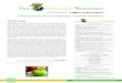 N°92 September 2014 - 5+ A Day · PDF file 2014-09-16 · N°92 September 2014 Editorial « Advertising for fruit and vegetables is globally inexistent » Editorial Board IFAVA Contacts