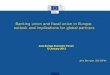 Banking union and fiscal union in Europe: outlook and ...bruegel.org/wp-content/uploads/imported/events/... · Banking union and fiscal union in Europe: outlook and implications for