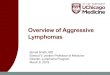 Overview of Aggressive Lymphomas - Indy Hematology Revie...Overview of Aggressive Lymphomas. DISCLOSURES. Sonali M. Smith, MD ... Swerdlow Blood. 2016 May 19;127(20):2375- 90. doi: