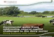 Commercial gains from addressing natural capital ... · Commercial gains from addressing natural capital challenges in the dairy sector Doing business with nature @CambridgeNatCap