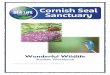 Wonderful Wildlife - Cornish Seal Sanctuary€¦ · Created by the Cornish Seal Sanctuary –SEA LIFE Trust 14 Enjoyed learning with The Cornish Seal Sanctuary? Did you know that