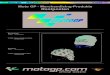 Moto GP - Merchandising-Produkte Restposten GP Me… · Moto GP - Merchandising X-MAS Moto GP - Merchandising-Produkte Restposten Beanie-Hats Bandana Farben: schwarz/weiß Farbe: