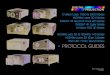 4PROTOCOL GUIDES - Digital Projection Guide R… · Rev F Octoer 2016 115482F E-Visio Laser 7500 8500 Series HIGHlite Laser 3D II Series INSIGHT 4K uad Dual LED Series INSIGHT 4K
