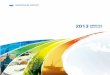 2013REPORT ANNUAL - SINOCHEM annual report 2013.pdf · ANNUAL 2013 REPORT. Creating alue V Pursuing exCellenCe. 02 04 06 10 42 48 52 62 CONTENTS PRESIDENT’S MESSAGE ABOUT SINOCHEM