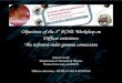 Objectives of the 3 PCHE Workshop on Diffuse emissions ... · Diffuse emissions – PCHE @ IAS 89/VI/2010. 2 Towards a selfconsistent high energy picture of the Milky Way 