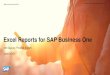 Excel Reports for SAP Business One - smbsummit2019.com 1_1… · Excel Report Designer Feature Reporting and analytical tool based on MS Excel (plugin). Utilizes SAP Business One