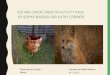 Fox and chooks · Does your family keep chooks? Have you ever seen a fox? Write about your own experiences -or those of your family or people you know, about foxes, or chooks, or