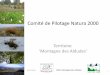 Comité de Pilotage Natura 2000€¦ · artificialisation des prairies de basse altitude et abandon des landes et parcours en estives.’ 14/01/2016 COPIL Montagne des Aldudes 5 Introduction: