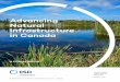 Advancing Natural Infrastructure in Canada · Advancing Natural Infrastructure in Canada: A forum report. Winnipeg: International Institute for Sustainable Development. IISD.org iii