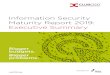 Information Security Maturity Report 2019: Executive Summary€¦ · to know why and interrogate the problem. Whether that is the ongoing risks of cloud, the ongoing frustrations