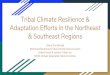 Tribal Resilience and Adaptation Efforts in the Northeast ... Etiquette in Tribal Engagement Tribal
