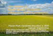 The Impact of Plant Variety Protection Under the UPOV ... JP experience_Impa… · The Impact of Plant Variety Protection Under the UPOV Convention Plant Variety Protection Office,